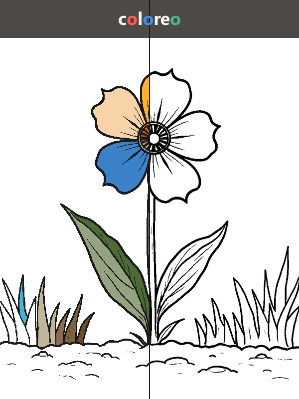 Vom Samen zur Blüte