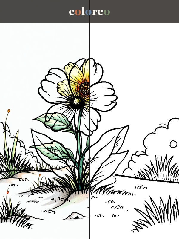 Vom Samen zur Blüte