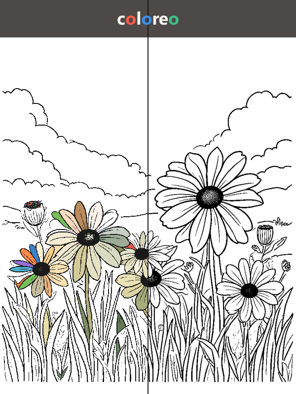 Wildblumenwiese