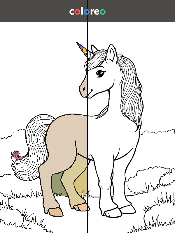 Magical Creatures