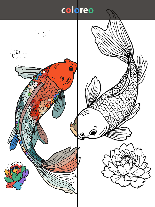 Koi & Water