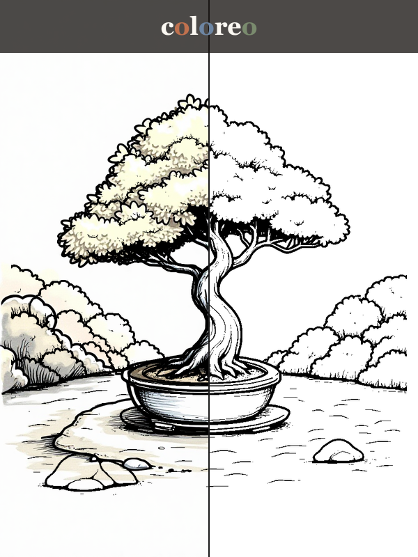 Zen Garden