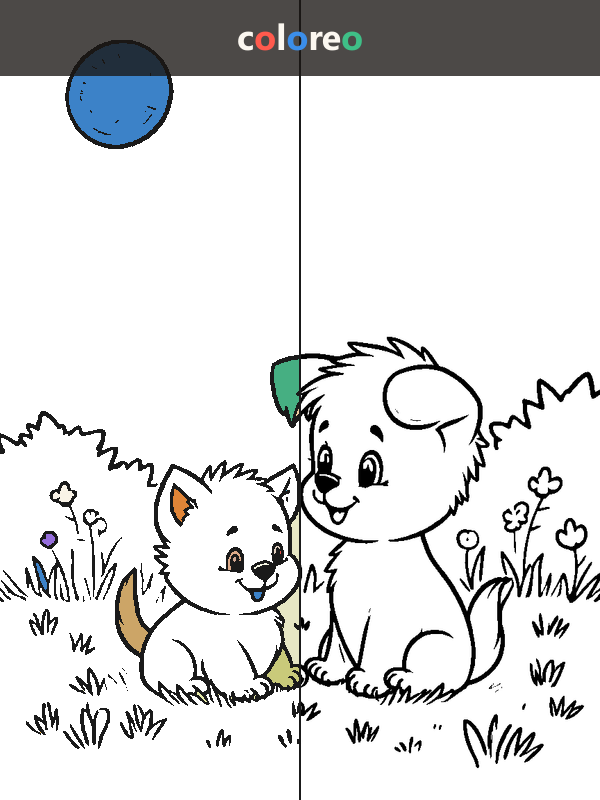 Baby Animals